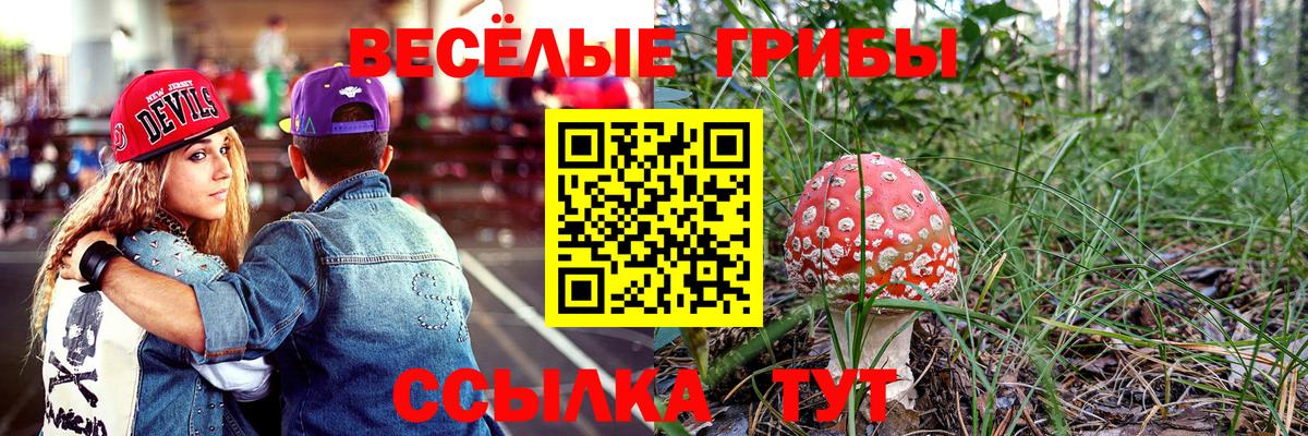 Псилоцибиновые грибы Cubensis  магазин    Большой Камень  Вход с VPN 